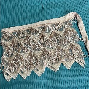 Embroidered Sequin Lace Trim